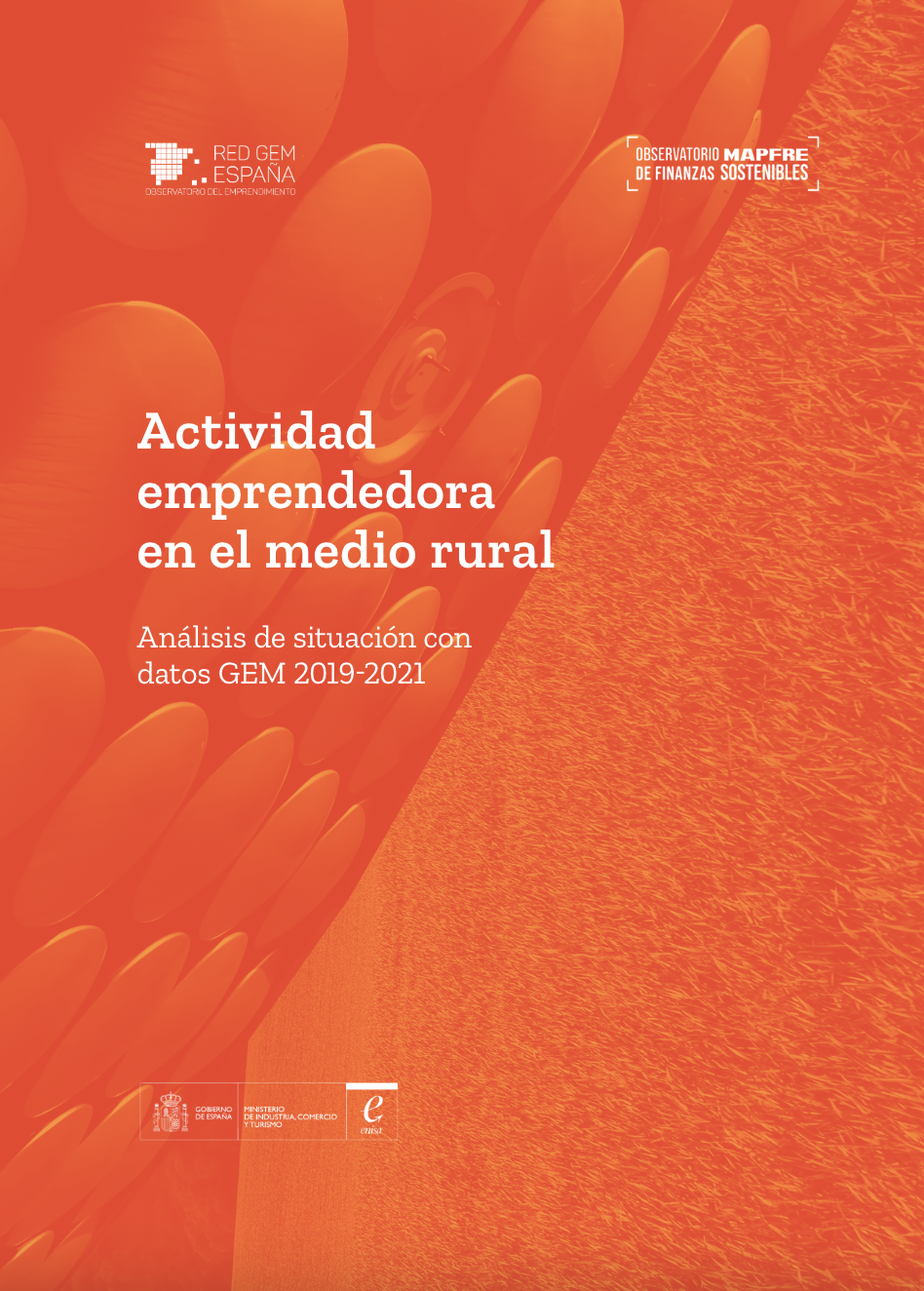 https://www.gem-spain.com/wp-content/uploads/2022/06/Informe_GEM_Emprendimiento_rural_espana_2021-2022.png